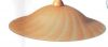 Ikona: 1518-J Závěsné svítidlo