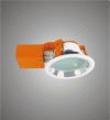 Ikona: 7226G Svítidlo stropní, vestavné pevné, downlight, Brilum
