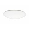 AKCE ECOLITE LED vnitřní vysoce úsporné stropní/nástěnné svítidlo 12W, ANETA WS005-12W/LED N16